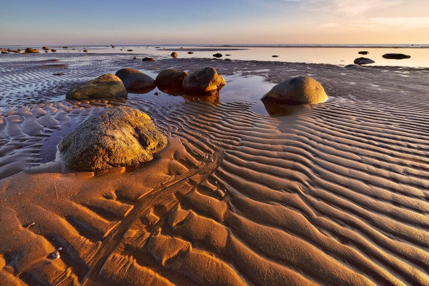 , Максим Евдокимов