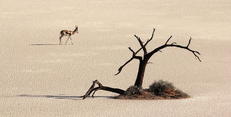Наши тела – меч. В наших душах – покой. Наше дыхание свято. Мы движемся, все любя, но дай нам немного сил, господи, и мы все подомнем под себя! (Don\'t Cry Valdemar) фото превью