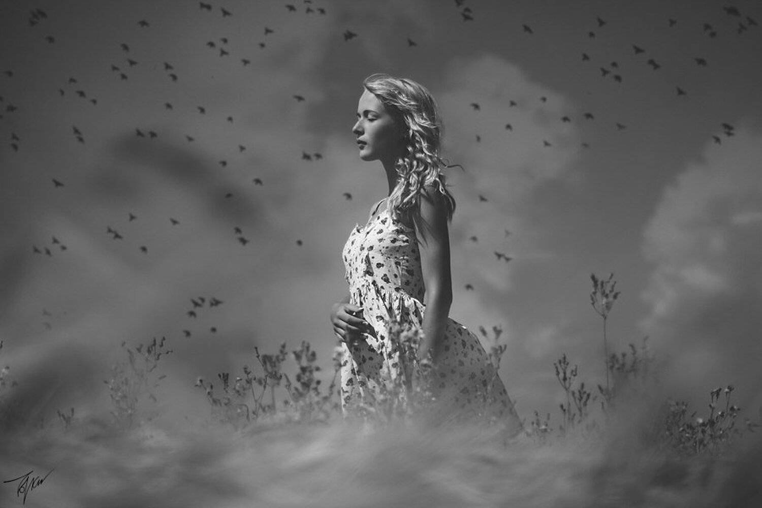 taya, тая, девушка, girl, dress, платье, white, black, summer, лето, ожидание, waiting, freedom, свобода, birds, птицы, sky, небо, field, поле, 550d, Толоконников Максим