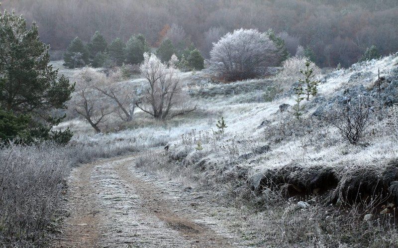 крым, иней Иней фото превью