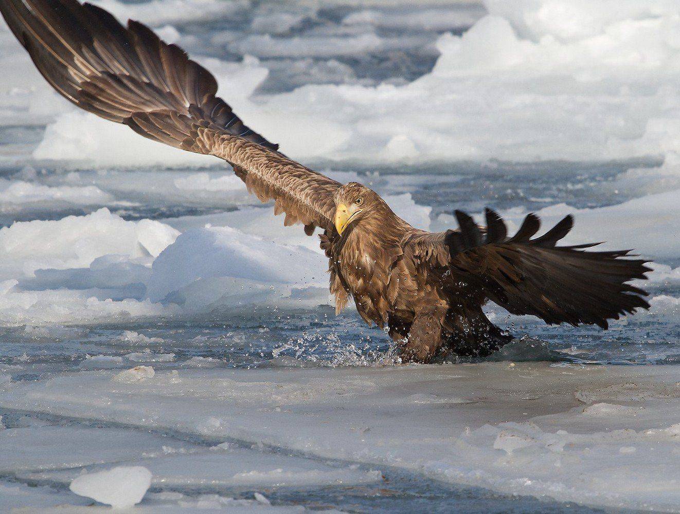 , Евгений Слободской