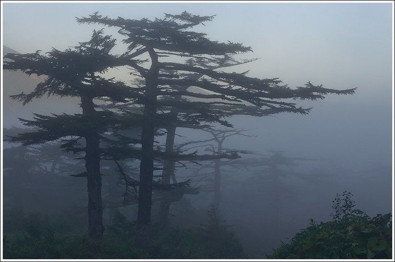 Утро на вулкане Баранского фото превью