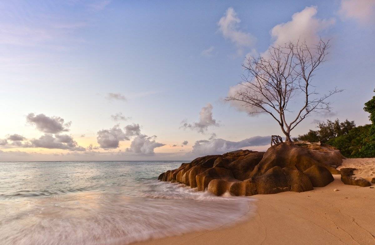 , Людмила Прокофьева