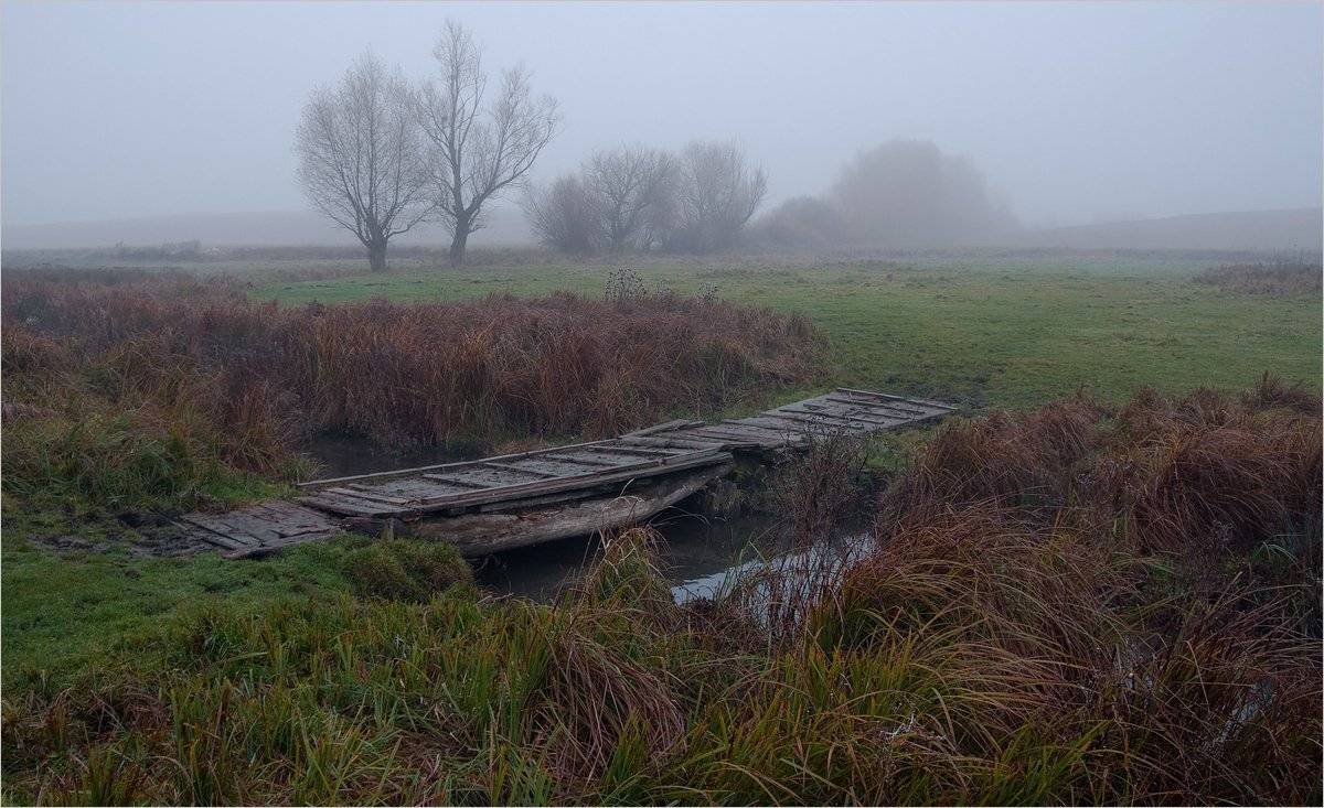 , Николай Шахманцир