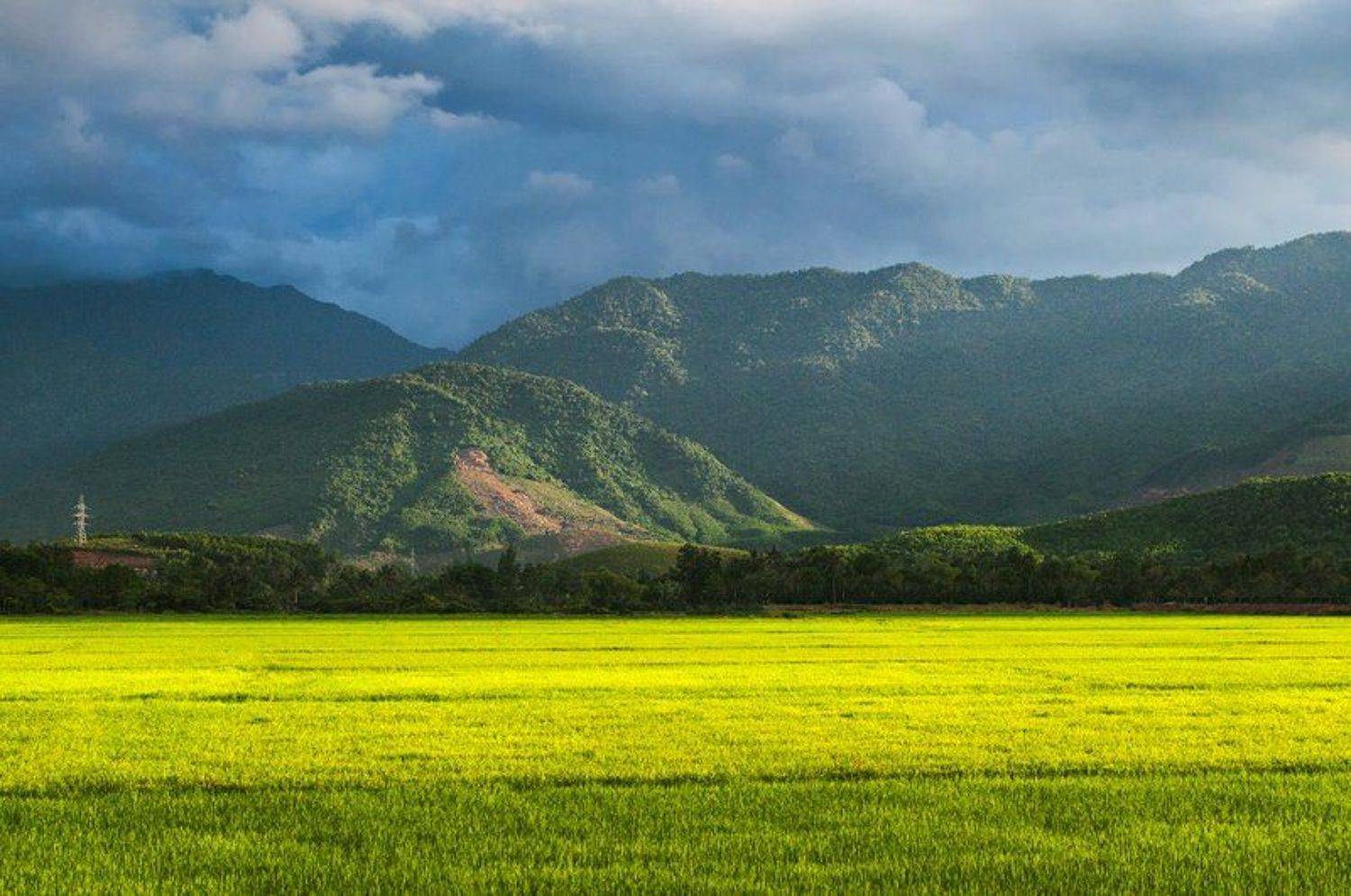 hai, вьетнам, Hai Trinh Xuan