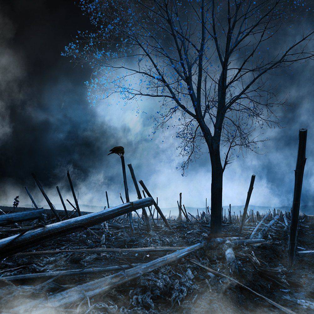 , Caras Ionut