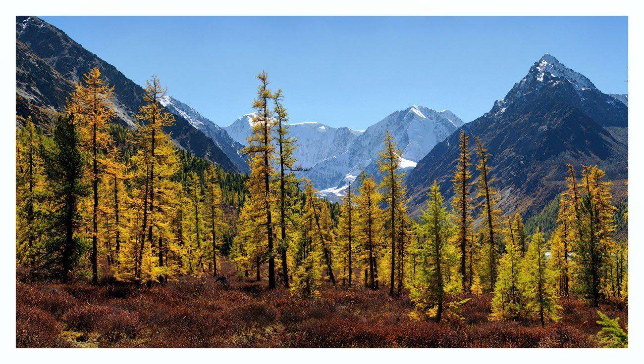 , Владимир Ляпин