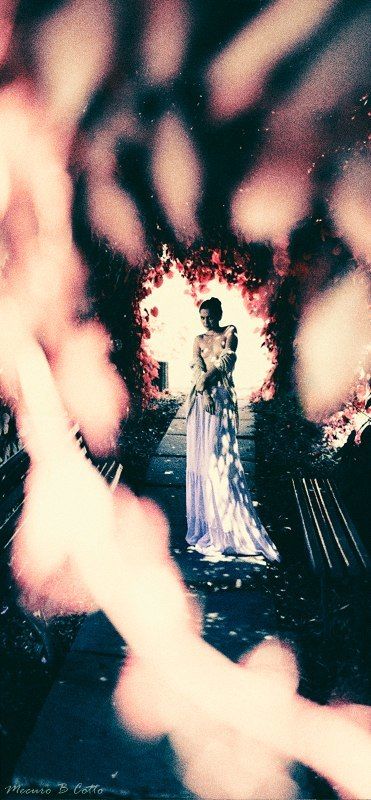 Galerie фото превью