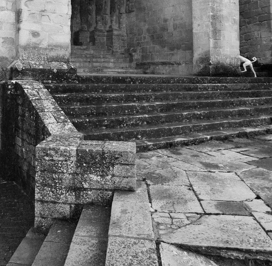 , Людмила Прокофьева