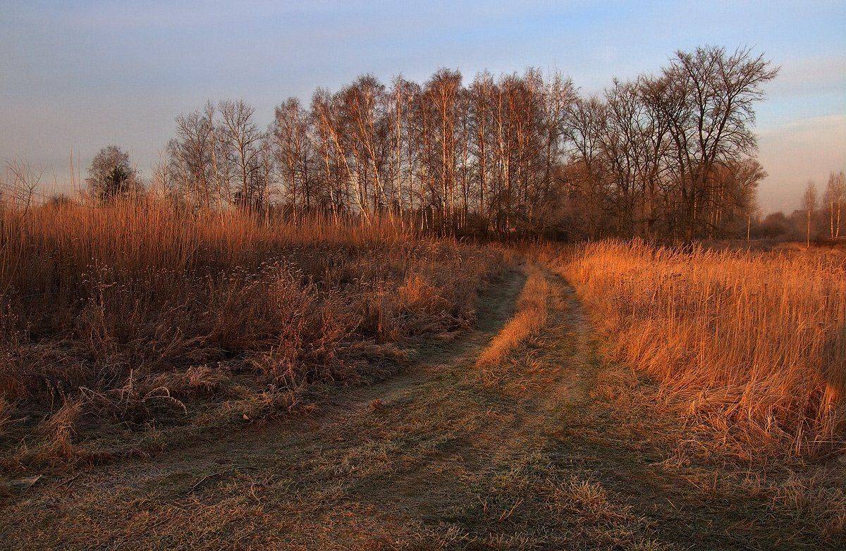 , Владимир Перепечаев