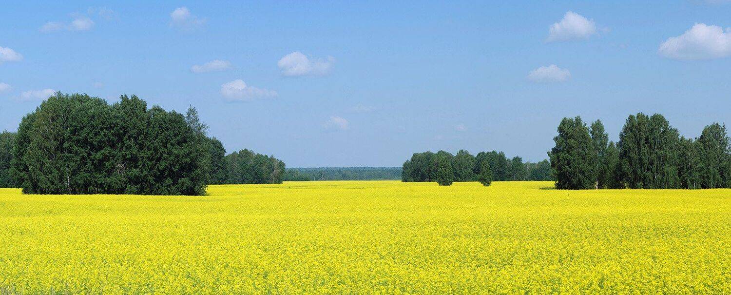 , Владимир Письмак