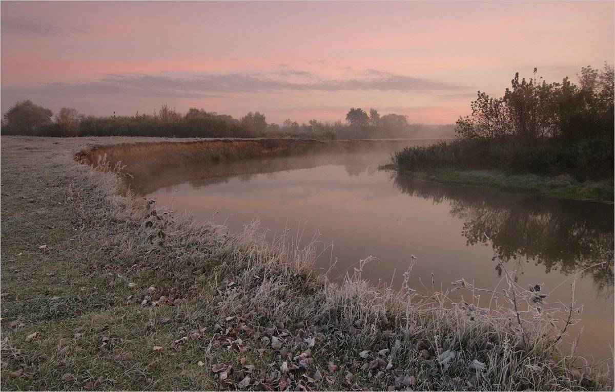 , Николай Шахманцир