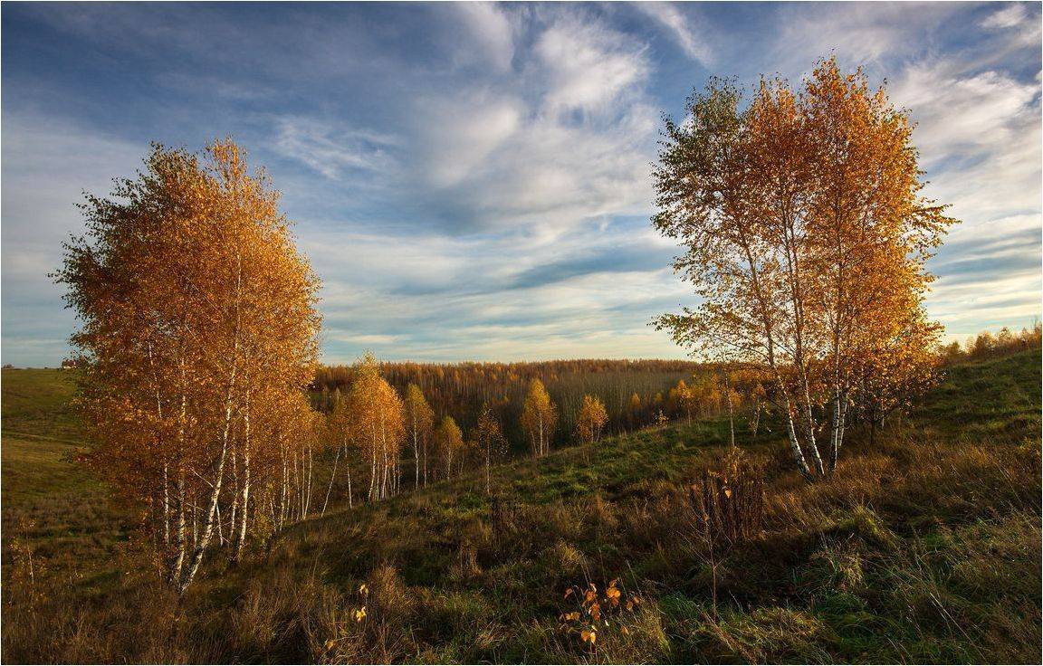 , Володимир Карчевський