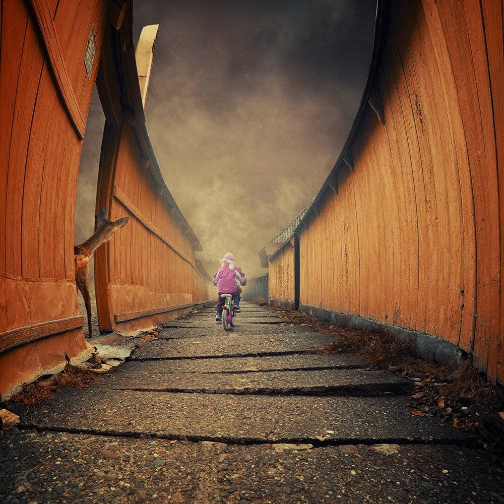 , Caras Ionut