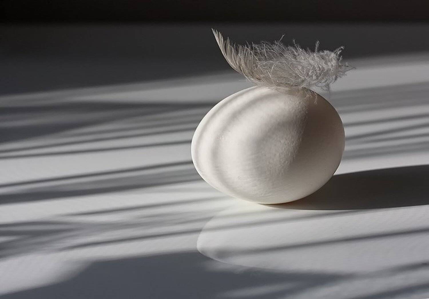 , Наталья Кузнецова (Nateletro)