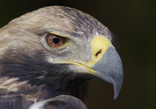 Свобода. Равенство. Братство.