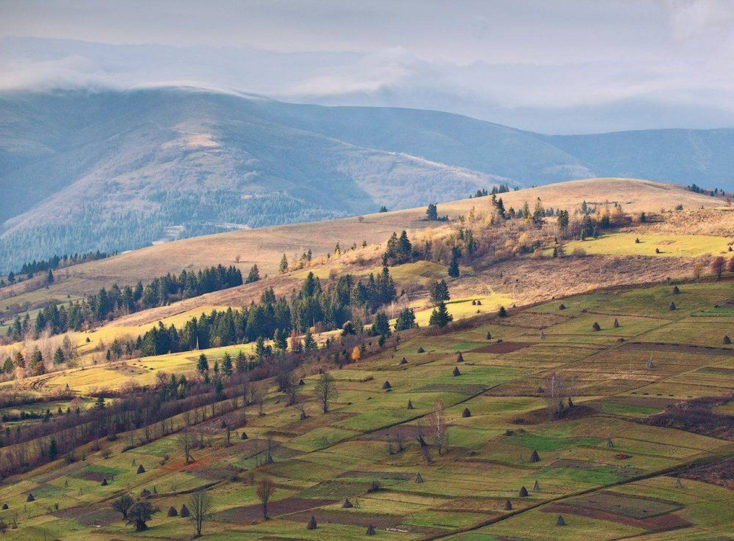 карпаты, осень, утро, свет, холмы, Андрей Радюк