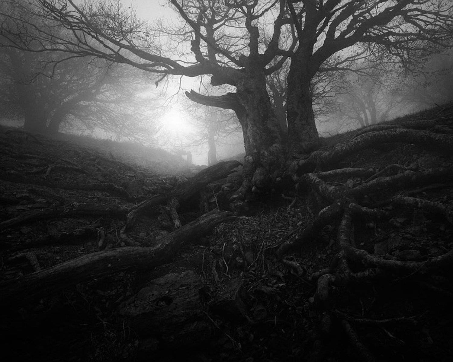 , Алексей Пучков