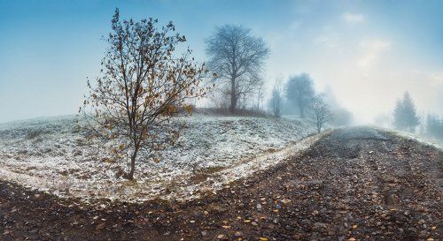 Временами туманы