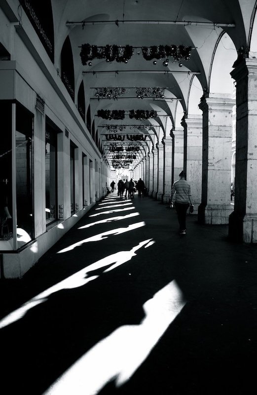 Ряды... фото превью