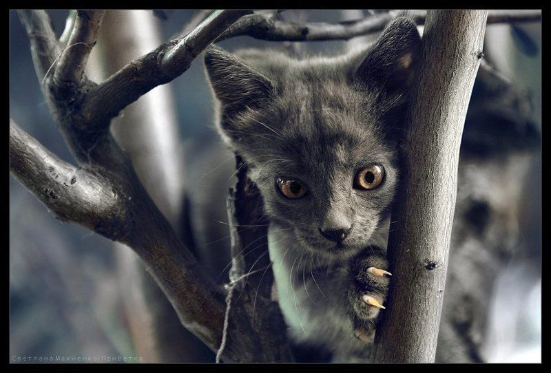 Замуровали, демоны фото превью