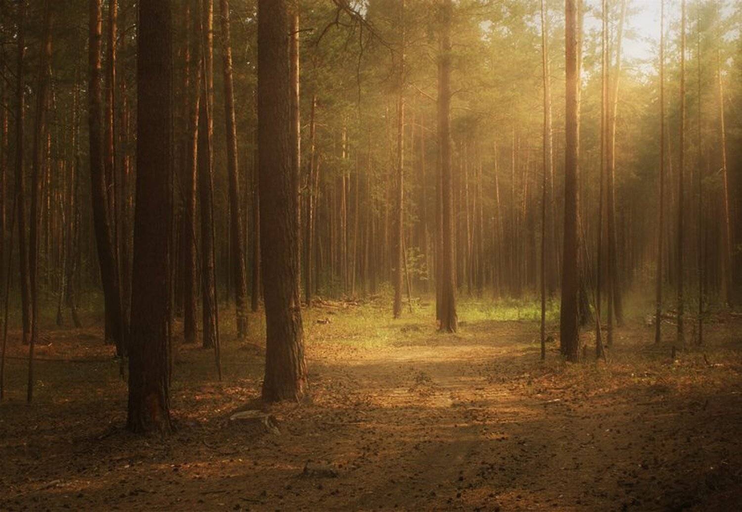 , Наборщиков Иван