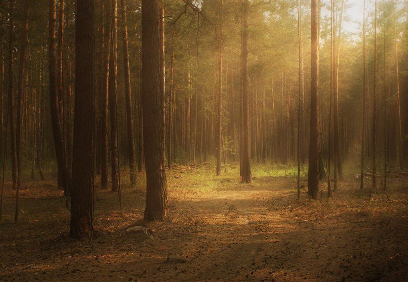 ... фото превью