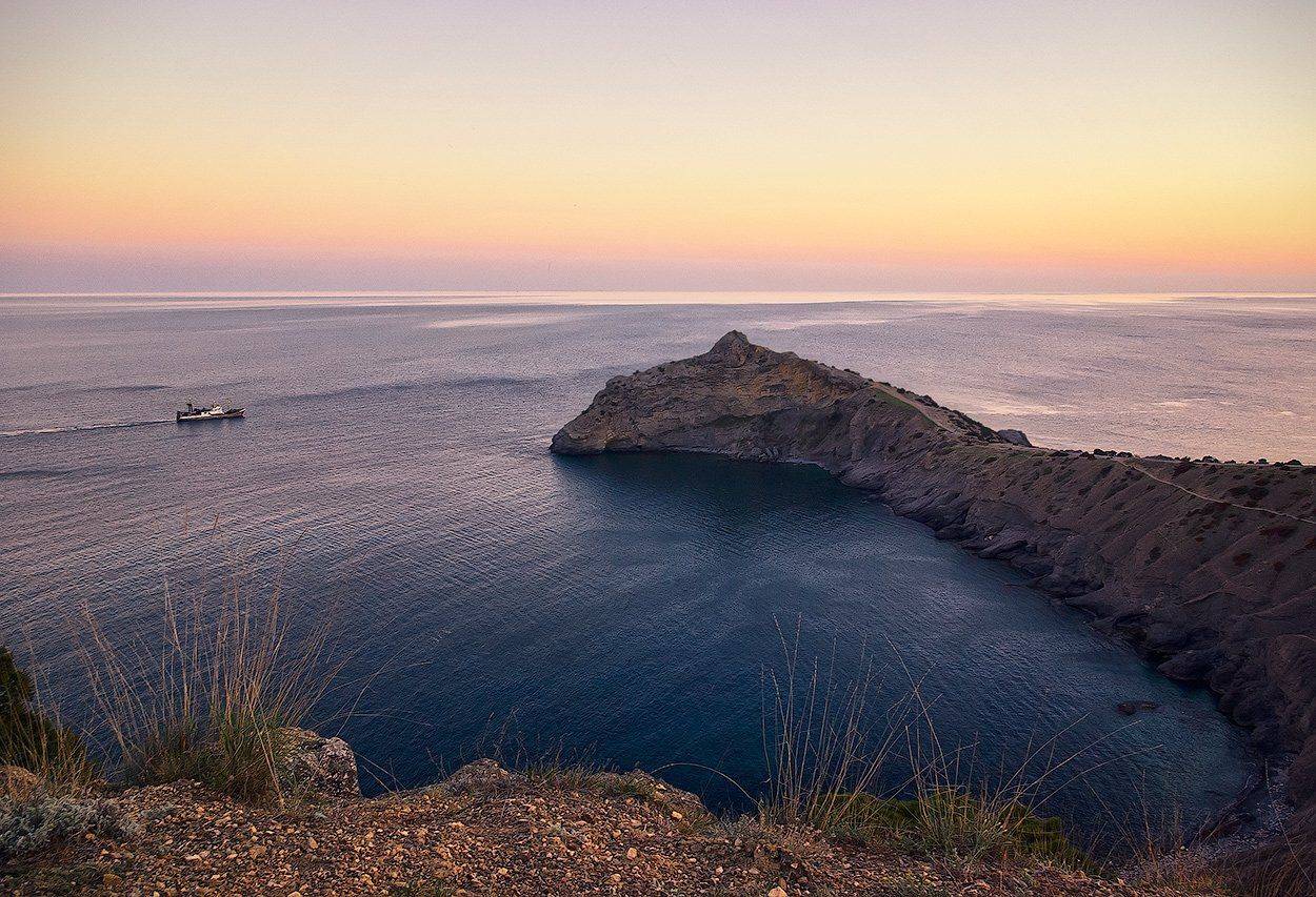 , Игорь Мелекесцев