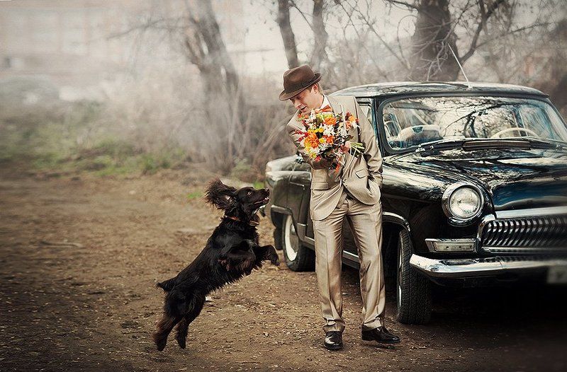 Хозяин, постой! фото превью