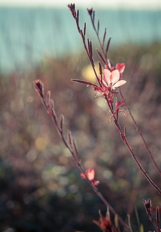 Утро. фото превью