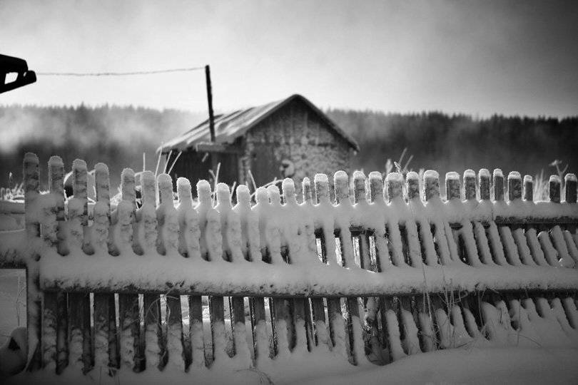 , Александр Аншуков