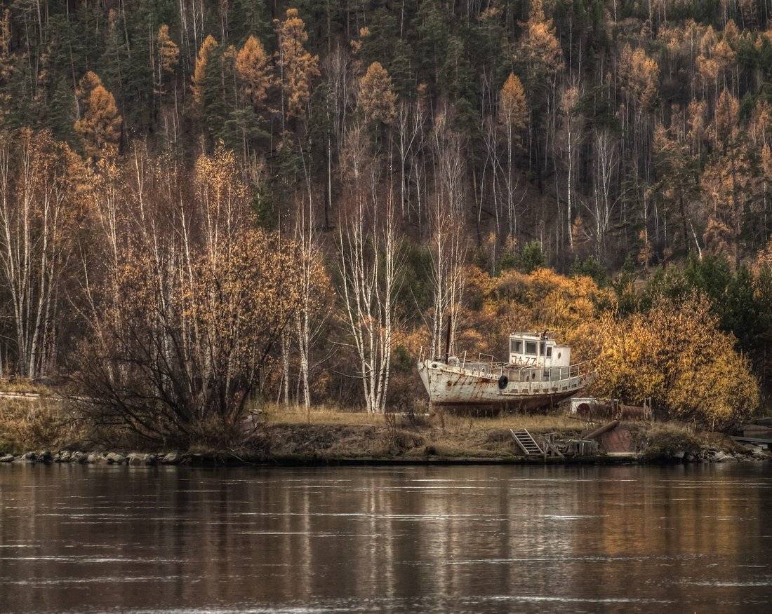 , Алексей Трофимов
