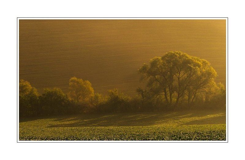 Foggy morning