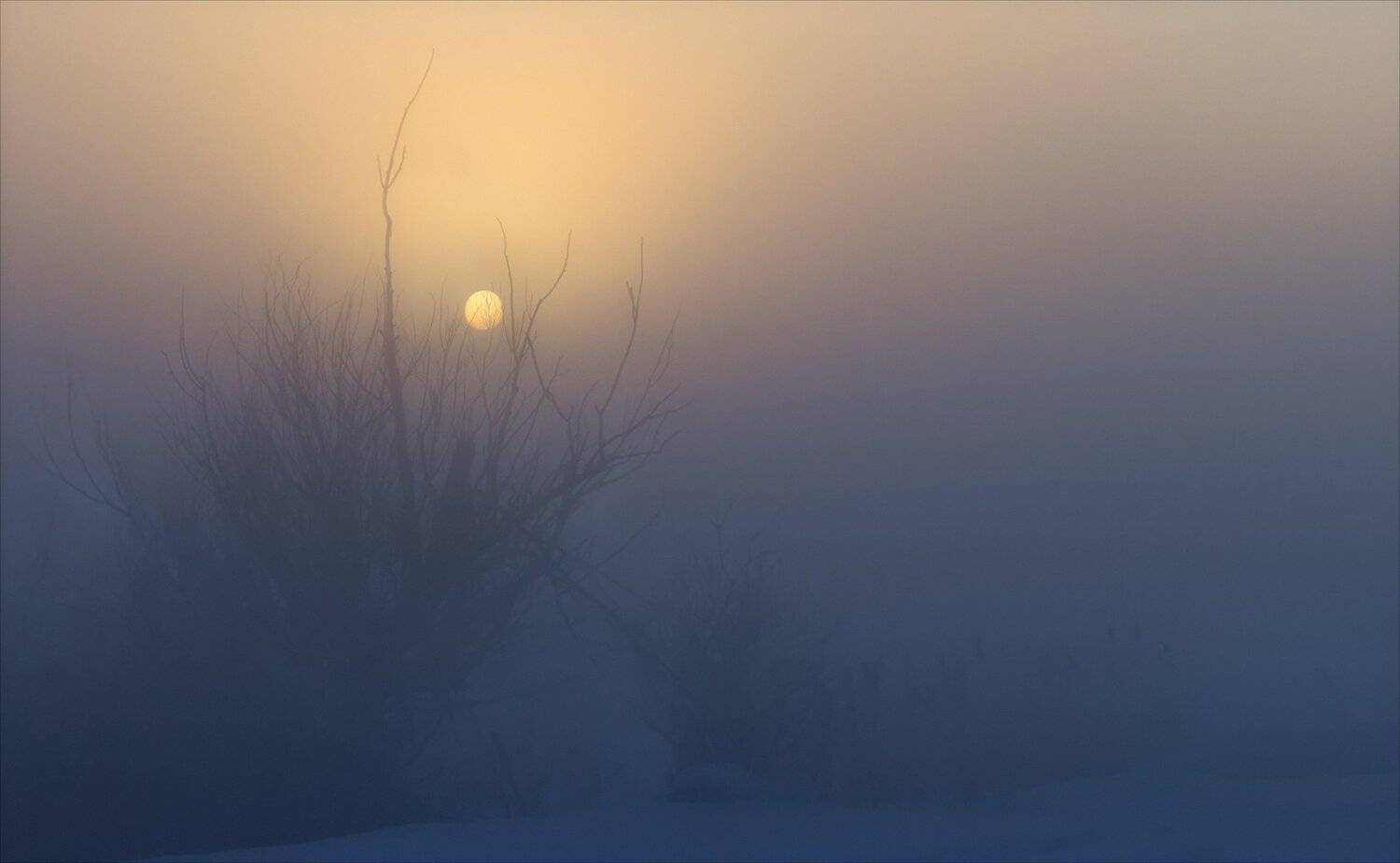 , Алексей Богорянов
