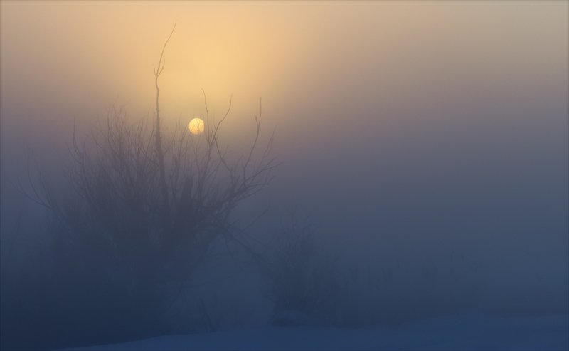 Сумрачные сказки... фото превью