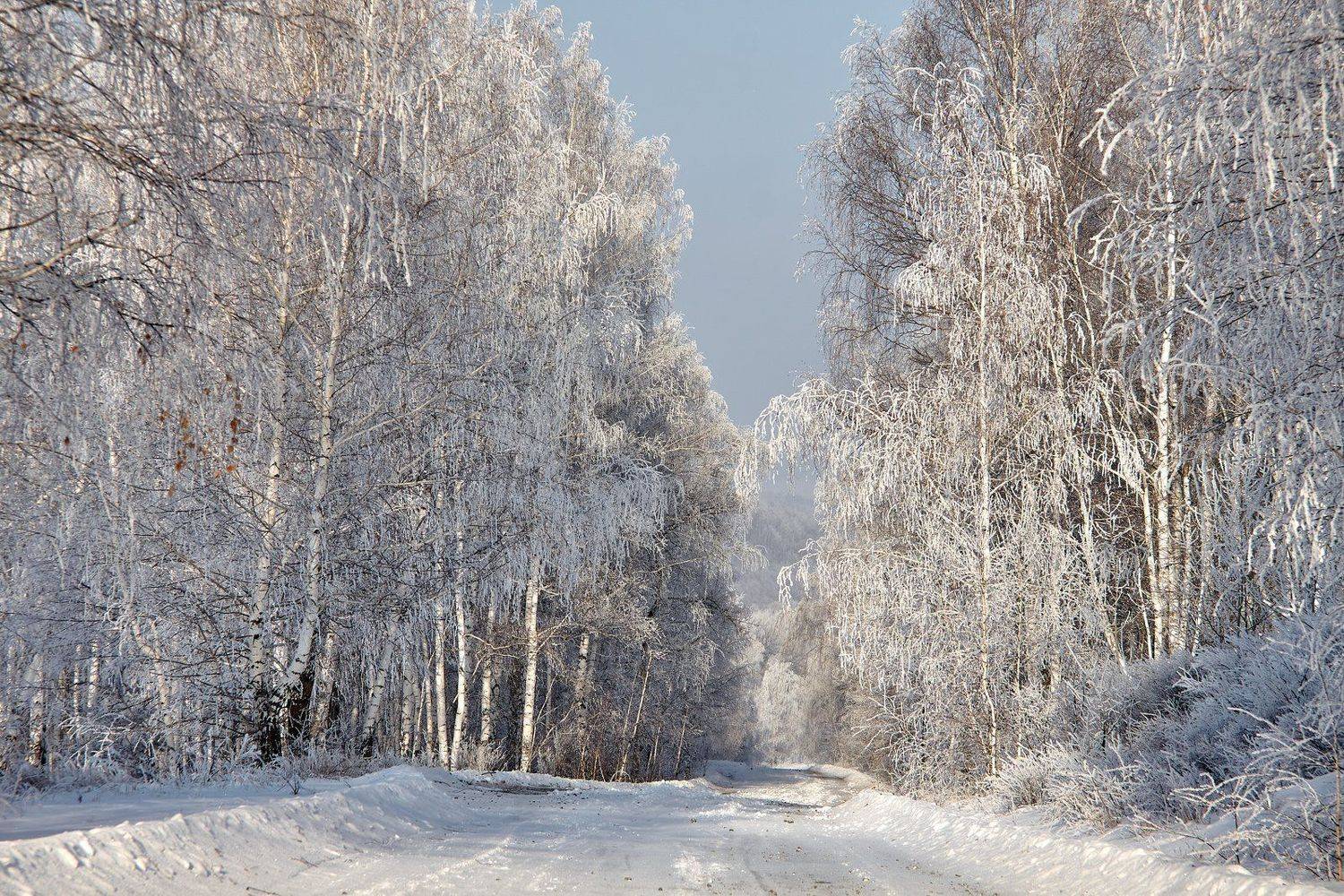 южный урал,оренбургская область, орск, новотроицк,башкирия, башкиртостан, Качурин Алексей