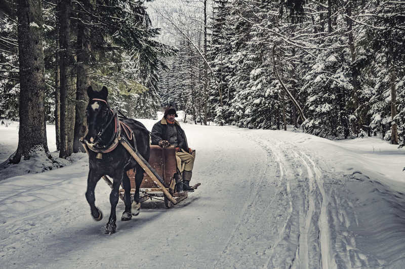 Folklor man фото превью