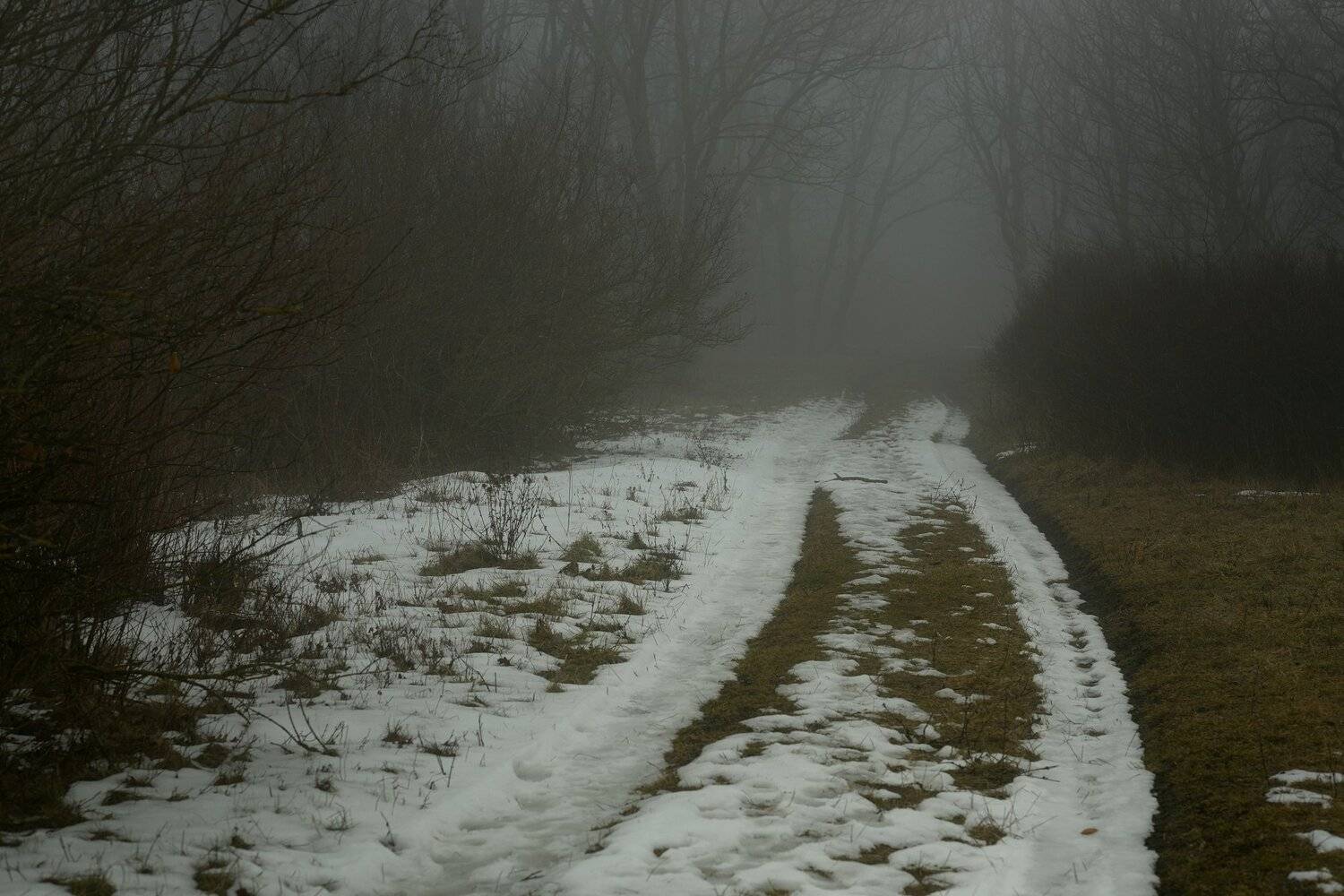 зима утро туман дорога, Александр Жарников