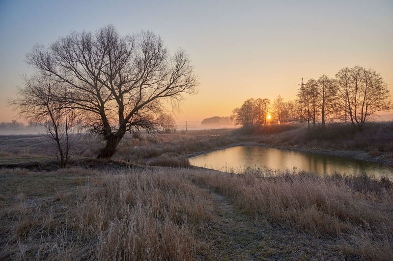 Snowless winter sunrise... фото превью