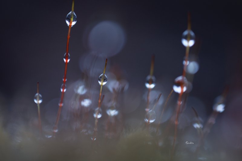 Бусинки фото превью