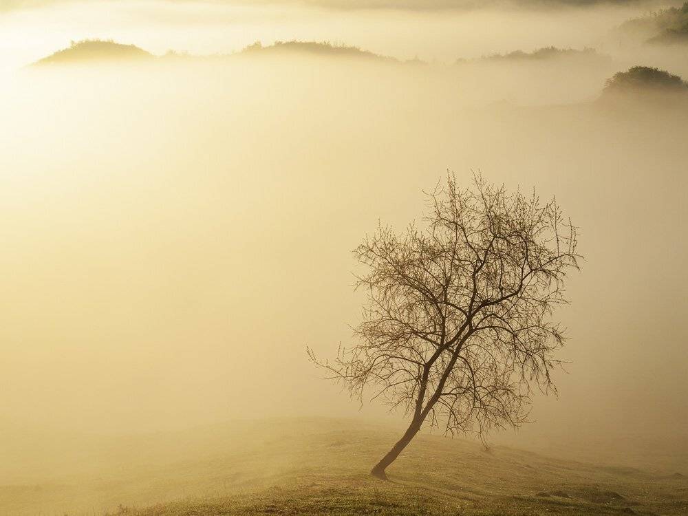 , Stefan Chirobocea