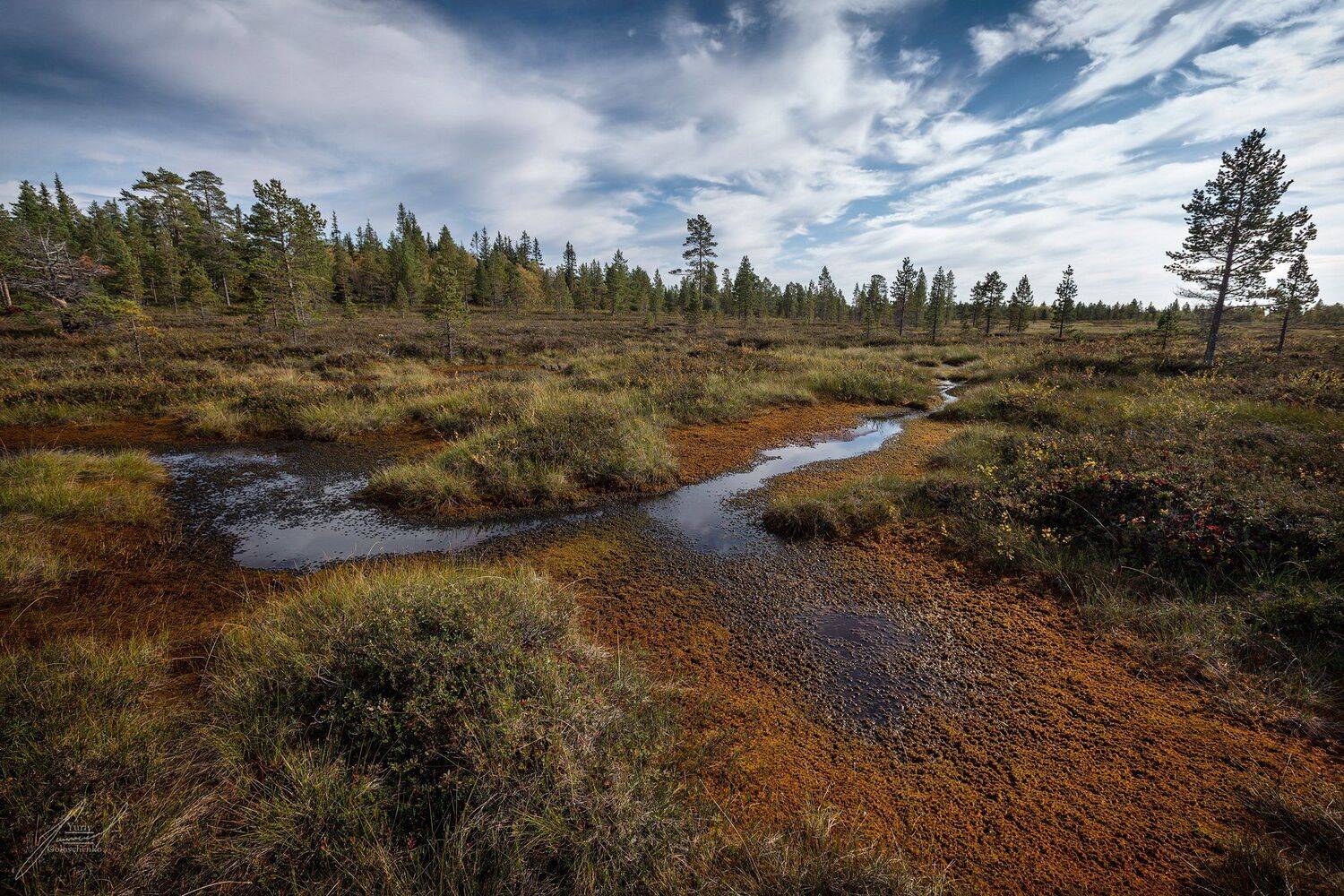 , Юрий Головченко
