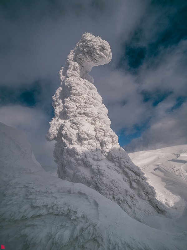 Они не вымерли фото превью