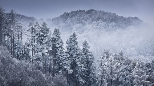 Cold Breeze