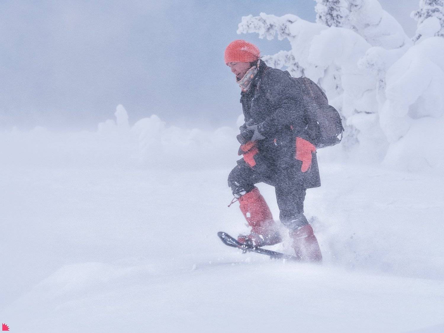 , Осипов Ёжъ Александр