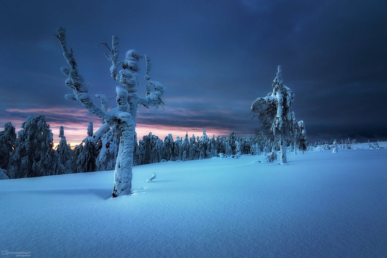 , Антон Кошетаров