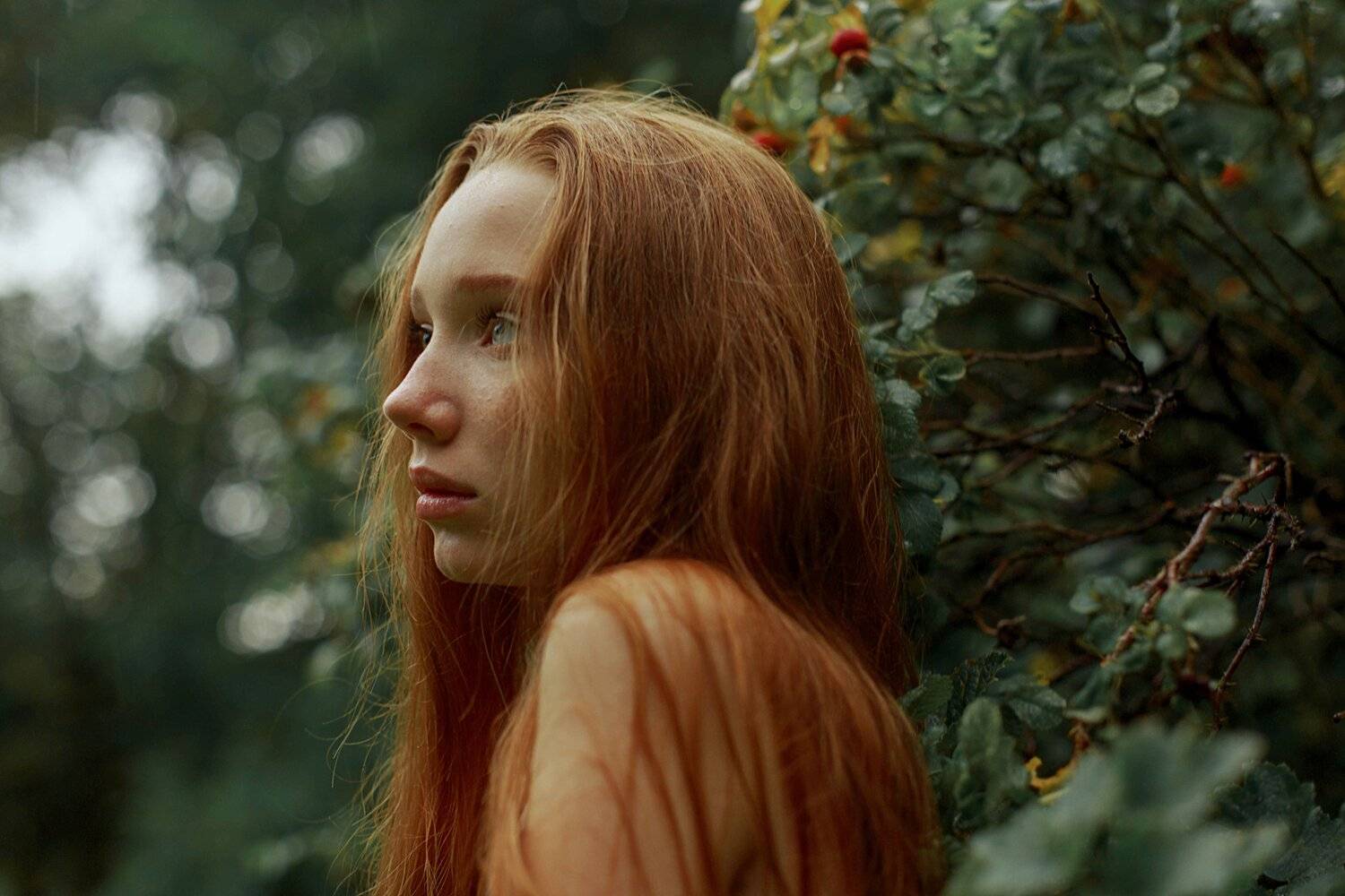 портрет, Marie Dashkova