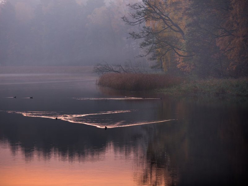 I go around Warmia фото превью