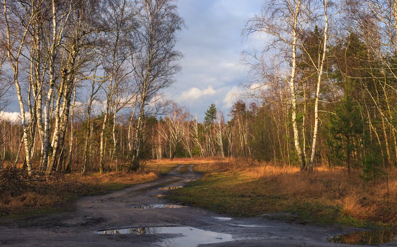 лес, зима, февраль, луг, вечер, закат Межсезонье, февраль фото превью