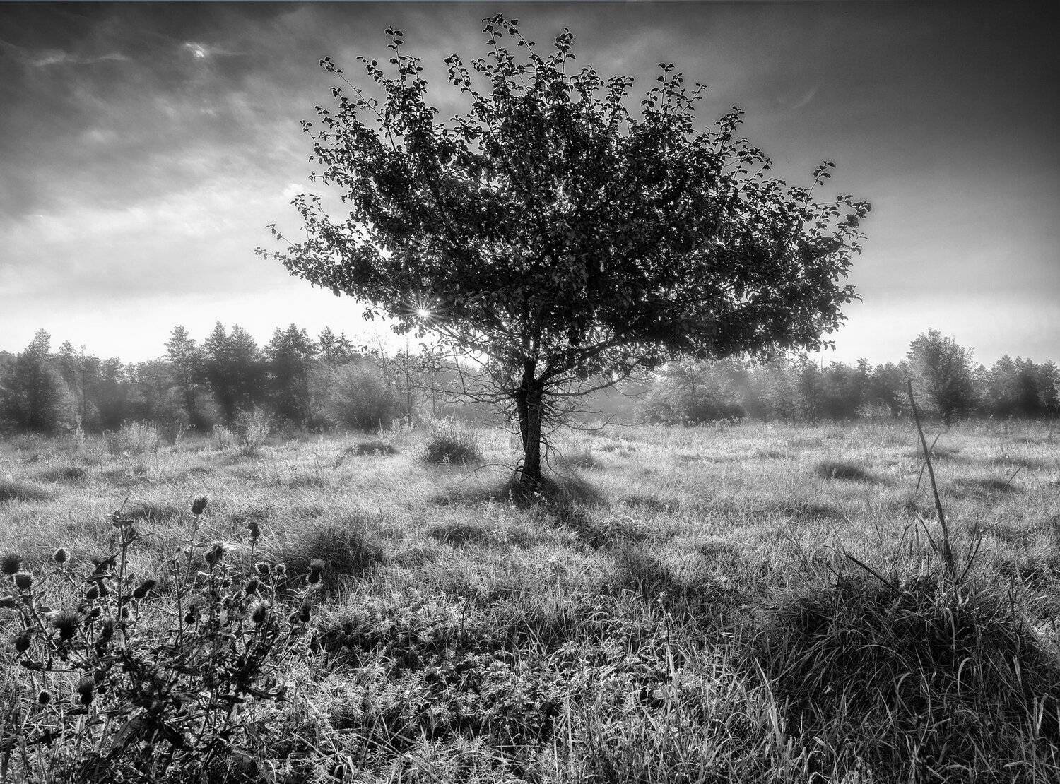 , Сергей Москалянов